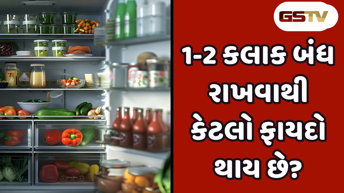 Tech Tips: શું ફ્રીઝ સતત 24 કલાક ચાલવું જોઈએ કે પછી તેને 1-2 કલાક બંધ રાખી શકાય?