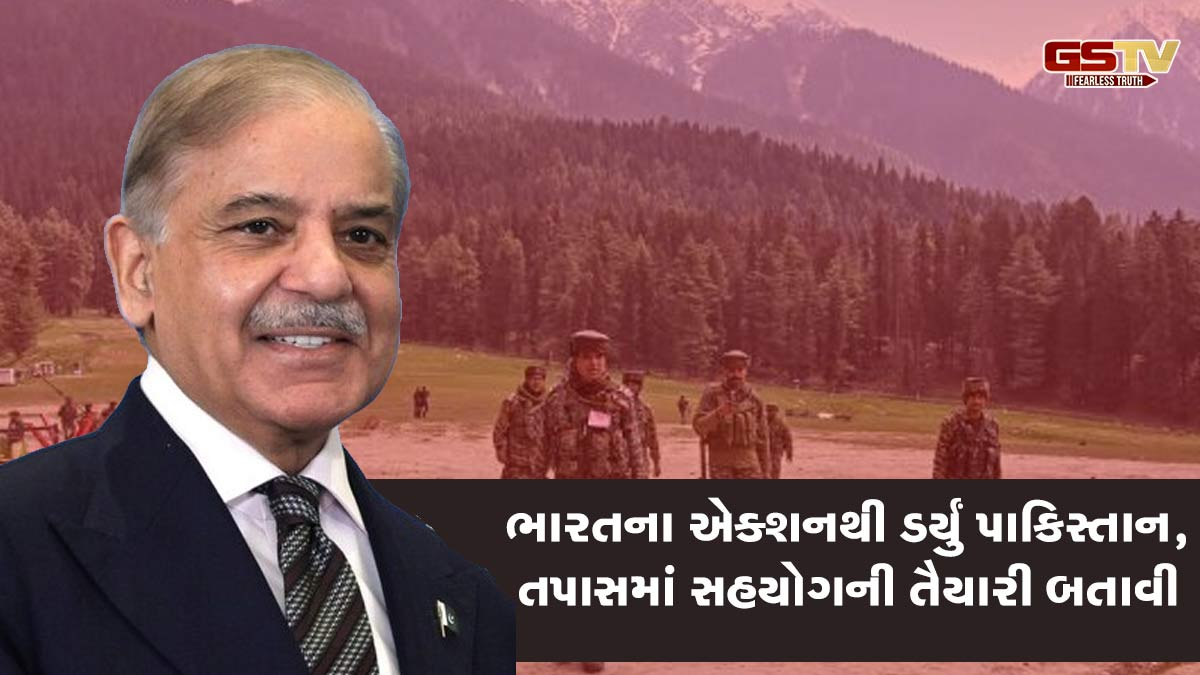 'પાકિસ્તાન દરેક તપાસ માટે તૈયાર', Pahalgam Attack પર પ્રથમ વખત બોલ્યા PM શાહબાઝ