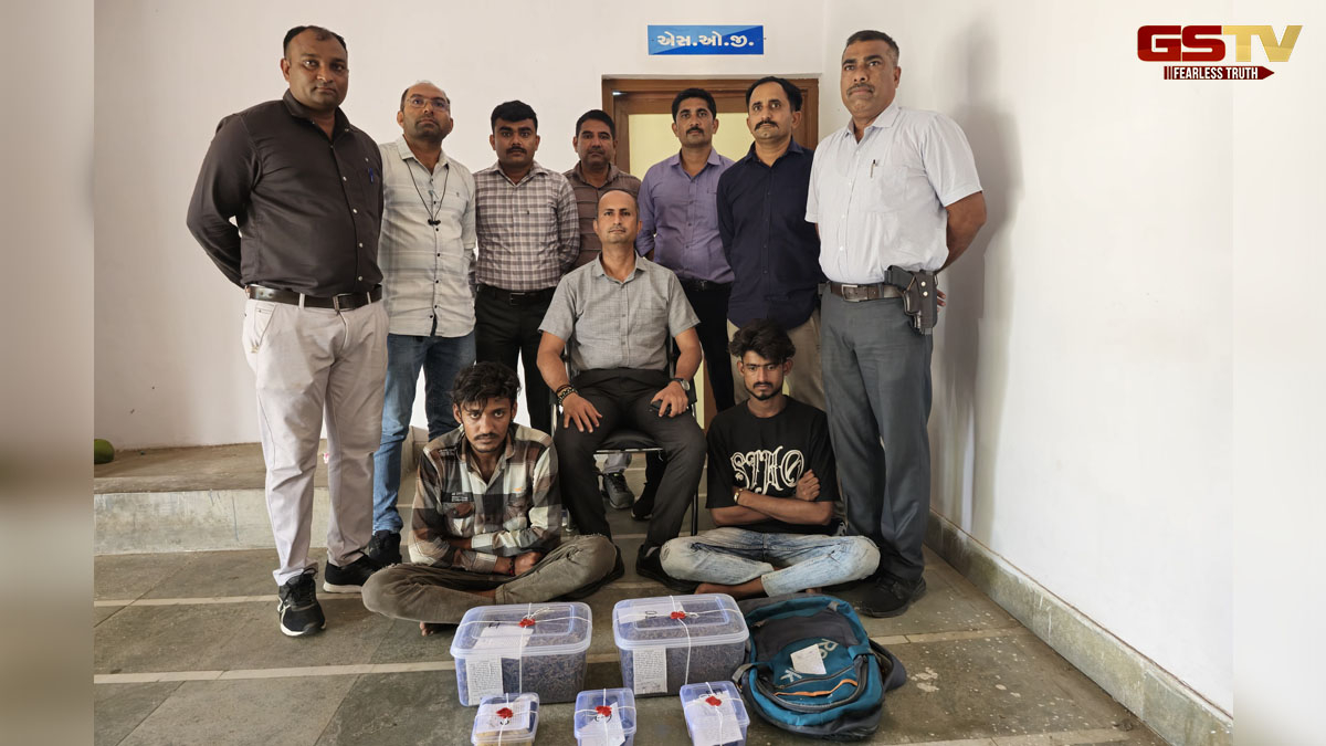 Gir Somnath News: માદક પદાર્થની હેરાફેરી કરતા બે શખ્સો 4 કિલો ગાંજા સાથે ઝડપાયા