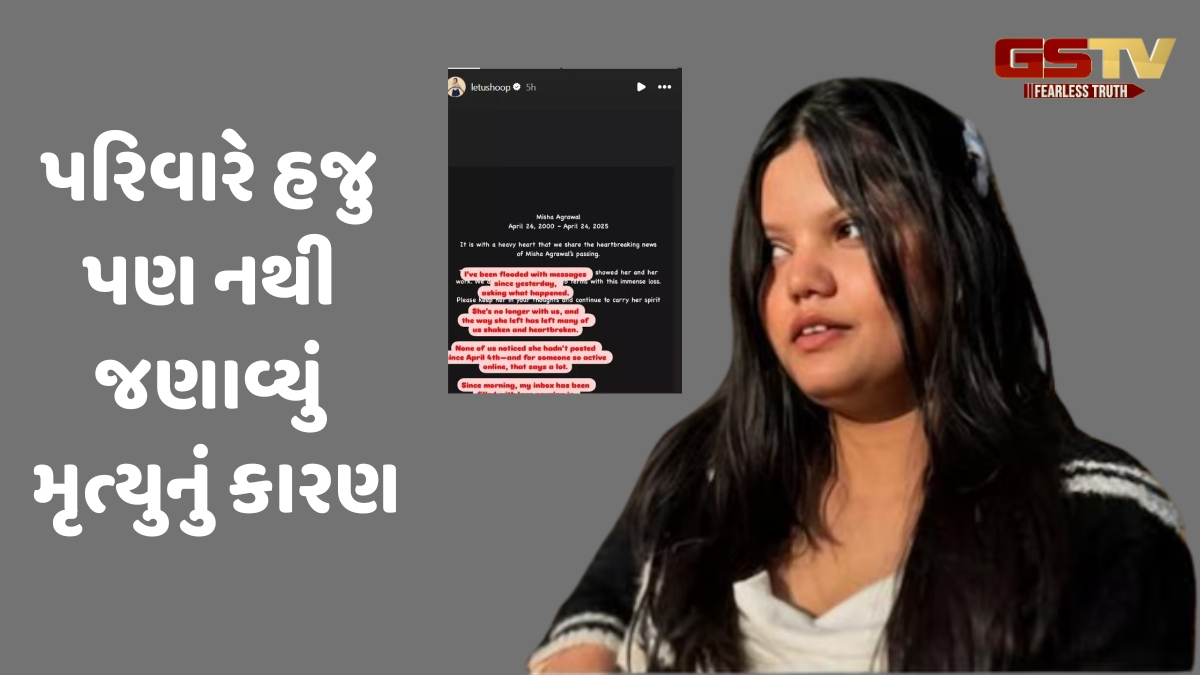 સુસાઈડ કે એકસીડન્ટ? કેવી રીતે થયું સોશિયલ મીડિયા ઇન્ફ્લુએન્સર Misha Agarwalનું મૃત્યુ? મિત્રએ જણાવ્યું કારણ
