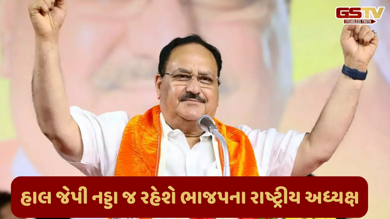 ભાજપના રાષ્ટ્રીય અધ્યક્ષની હાલ ચૂંટણી નહીં યોજાય, નડ્ડા જ રહેશે અધ્યક્ષ; જાણો શું છે કારણ