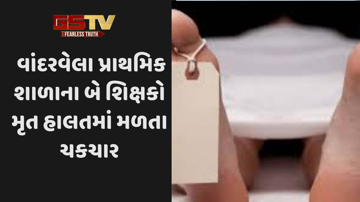 Navsari news: ચીખલીના રાનકૂવા ગામે વાંદરવેલા પ્રાથમિક શાળાના બે શિક્ષકો મૃત હાલતમાં મળતા ચકચાર