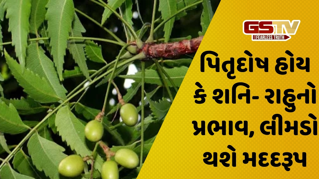 Religion: કડવા લીમડાના આ 5 ઉપાયો બદલી નાખશે તમારું નસીબ, જીવનની બધી સમસ્યાઓ દૂર થશે!