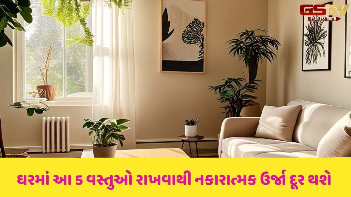 Vastu tips: ઘરમાં આ પાંચ વસ્તુઓ રાખવાથી નકારાત્મક ઉર્જા દૂર થાય છે અને ઘરમાં પૈસાની કમી રહેતી નથી