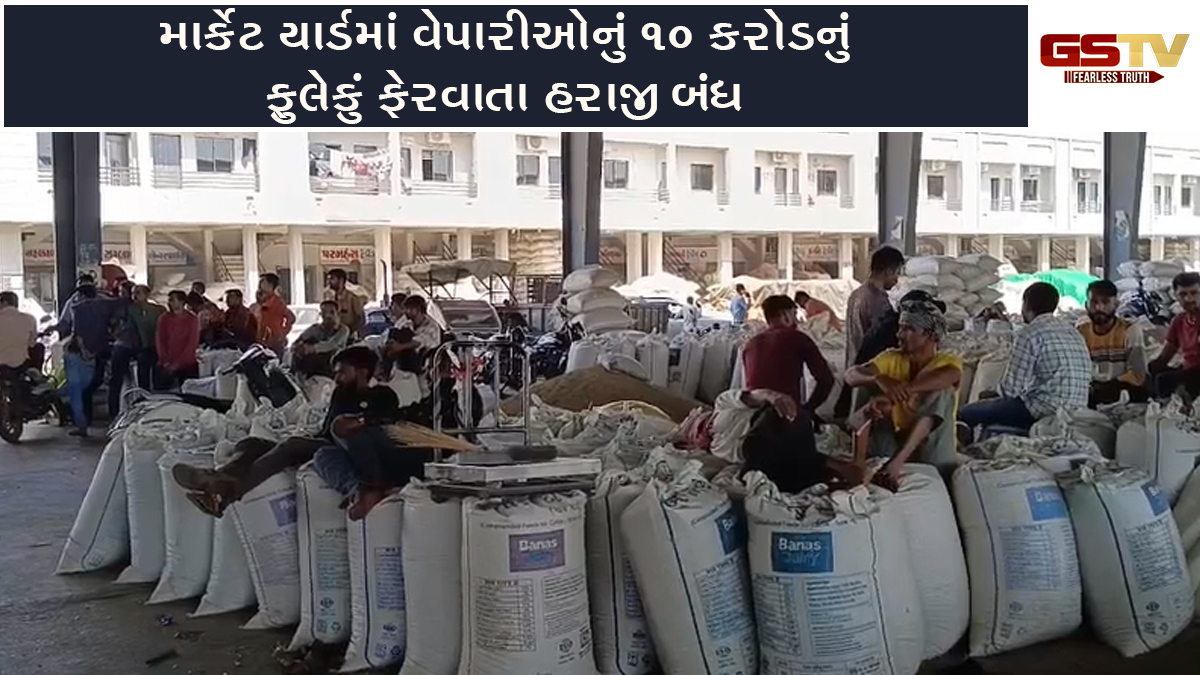 Morbi News: હળવદ માર્કેટ યાર્ડમાં વેપારીઓનું 10 કરોડનું ફુલેકું ફેરવાતા હરાજી બંધ, હજારો ખેડૂતોનો માલ અટવાયો