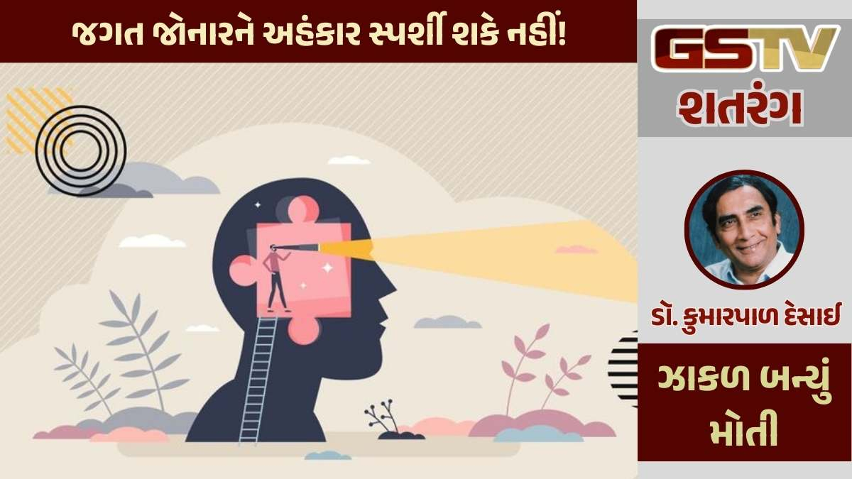 શતરંગ / જગત જોનારને અહંકાર સ્પર્શી શકે નહીં!