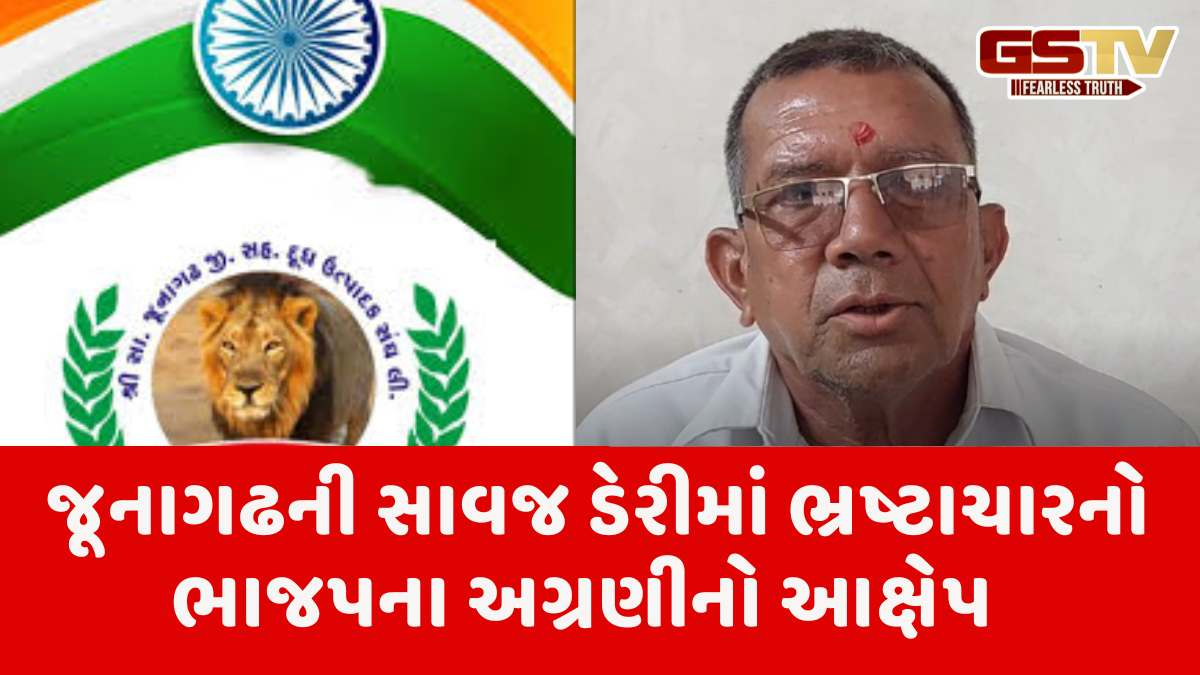 Junagadh news: ભાજપ સંચાલિત સાવજ ડેરીમાં ભ્રષ્ટાચારનો આક્ષેપ, જાણો