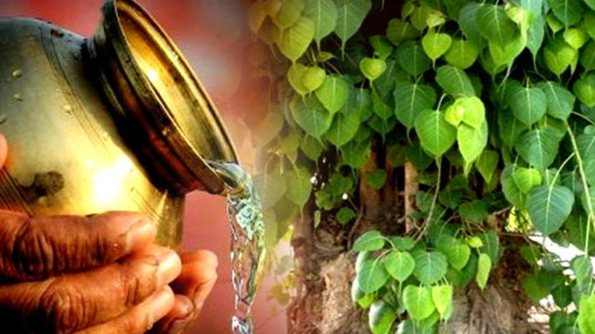 Dharmlok / પીપળે પાણી શા માટે રેડવું જોઈએ? અહીં વાંચો વાર્તા