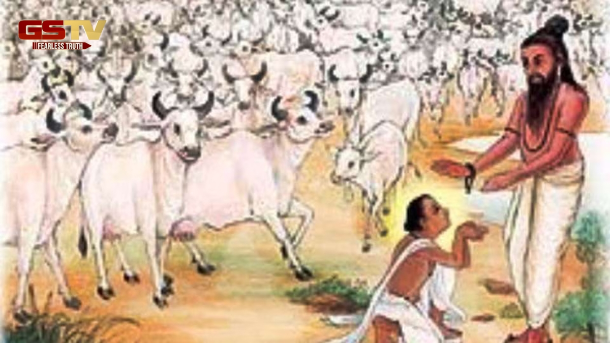 Dharmlok / ગુરુ કહે, 'હવે ગાયો ગણવાની જરૂર નથી'