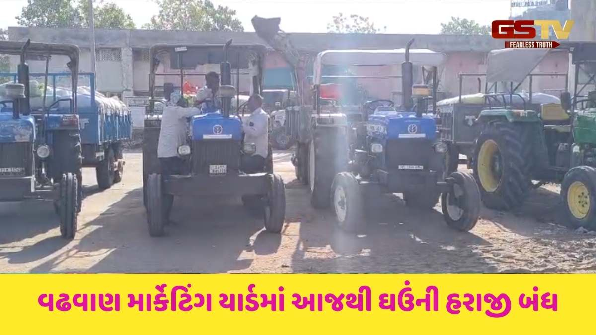 Surendranagar news: વઢવાણ માર્કેટિંગ યાર્ડમાં આજથી ઘઉંની હરાજી બંધ કરાઈ