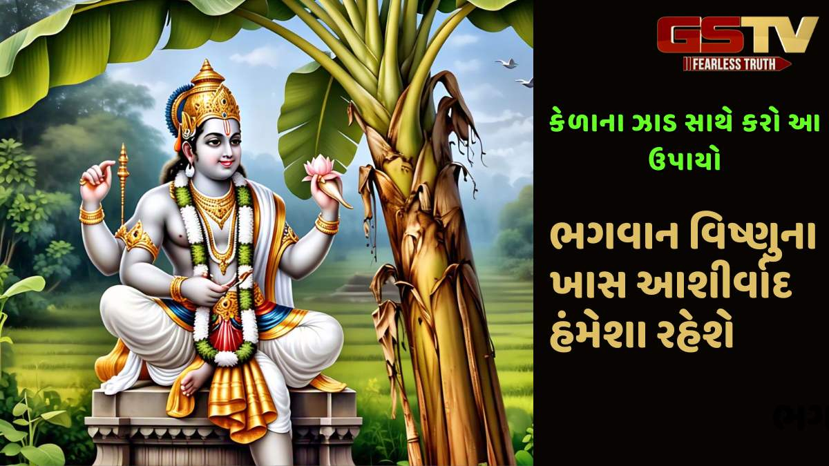 Religion: કેળાના ઝાડ સાથે કરો આ ઉપાયો, ખુલશે ભાગ્યના બંધ દરવાજા, ભગવાન વિષ્ણુના ખાસ આશીર્વાદ હંમેશા રહેશે
