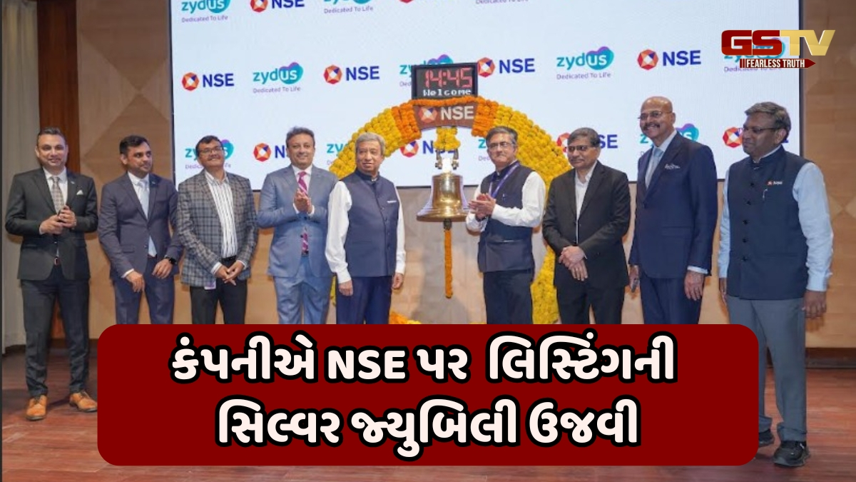 Business News / 24 વર્ષમાં 38 કરોડથી વધીને 3860 કરોડ રૂપિયા થયો ઝાયડસનો નફો