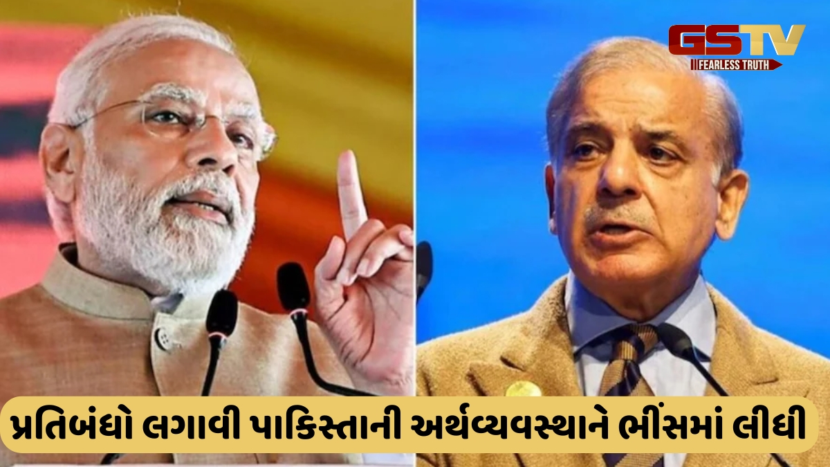 હથિયાર વગર મોદી સરકાર તોડી રહી છે પાકિસ્તાનની કમર, લગાવી દીધા આટલા બધા પ્રતિબંધ