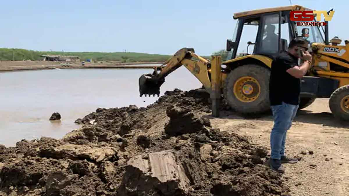 Navsari News: ગેરકાયદે ઝીંગા તળાવો પર કાર્યવાહી, NGTના આદેશથી કરાડી ગામમાં 4 એકરના તળાવો તોડવાનું શરૂ