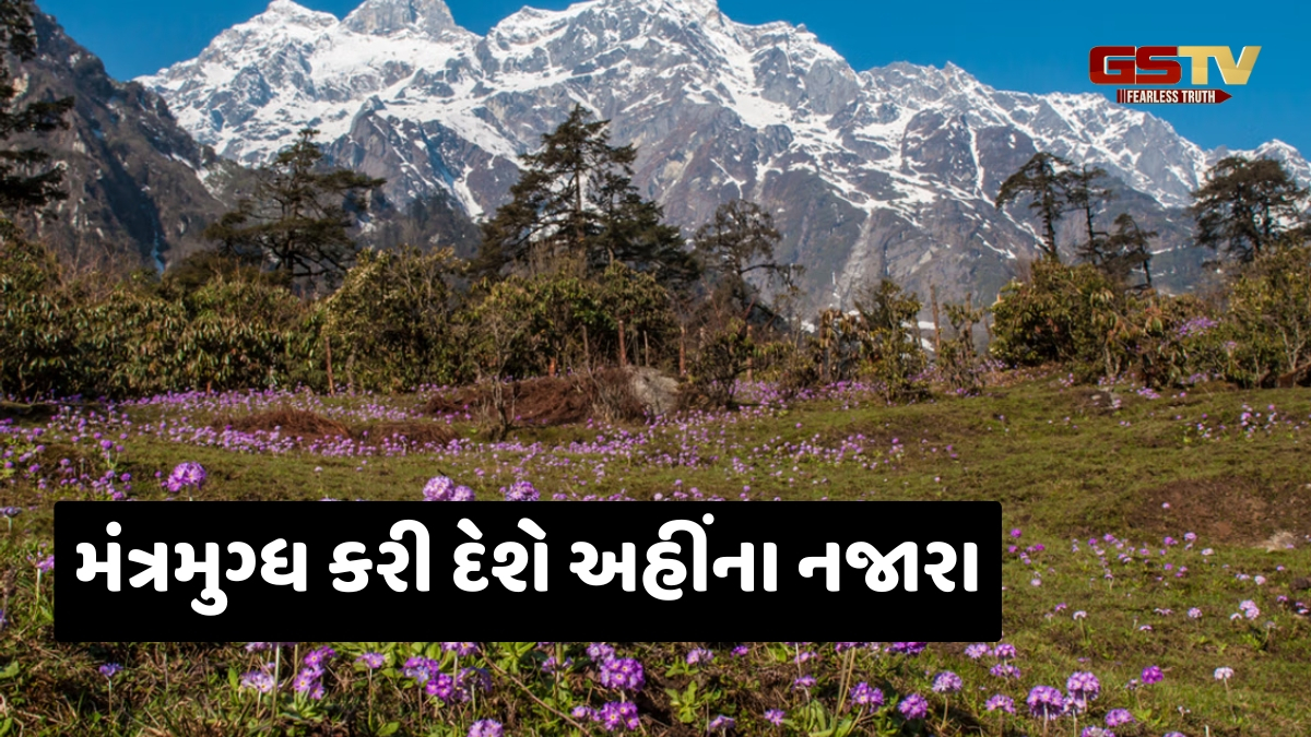 મે મહિનામાં પણ ખુશનુમા હોય છે ઉત્તર પૂર્વ ભારતની આ જગ્યાઓનું વાતાવરણ, એકવાર જરૂર બનાવો ફરવાનો પ્લાન