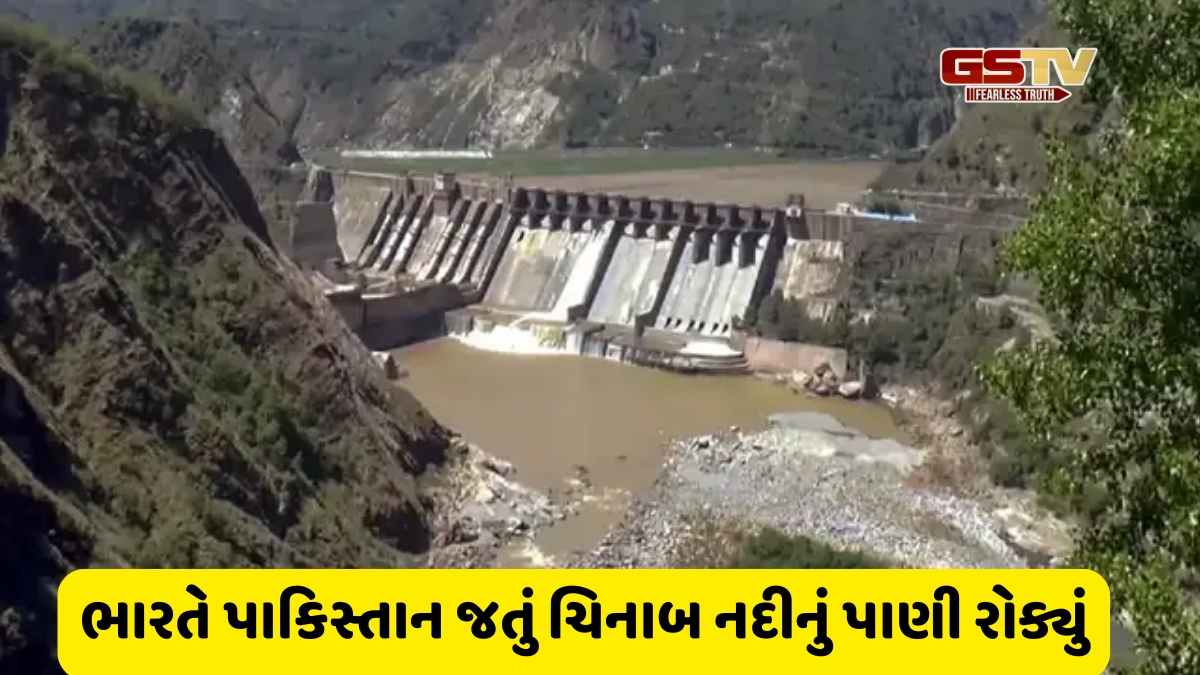 Water Strike: સિંધુ બાદ હવે ભારતે ચિનાબ નદીના પાણીને પાકિસ્તાન જતું અટકાવ્યું