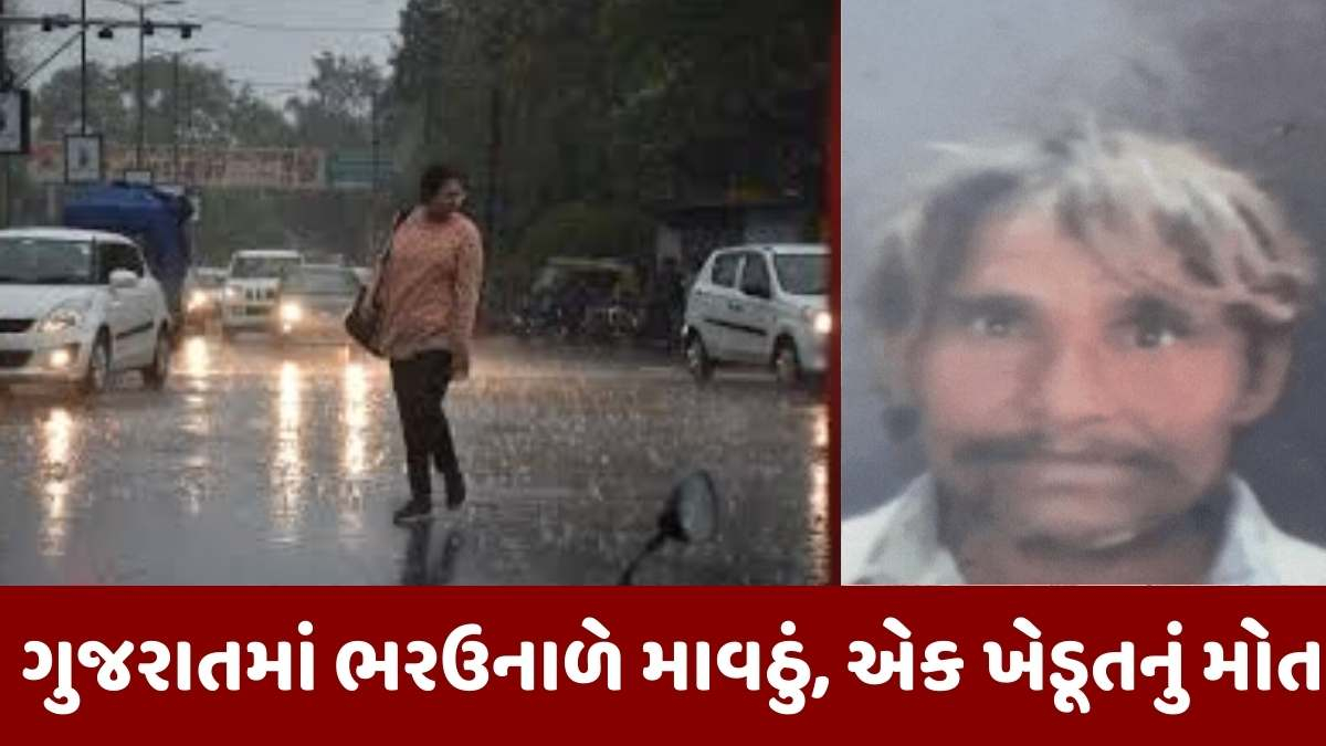 Weather Updates: ગુજરાતમાં ભરઉનાળામાં માવઠું, વીજળી પડતા એક ખેડૂતનું મોત, જાણો  વિગતવાર