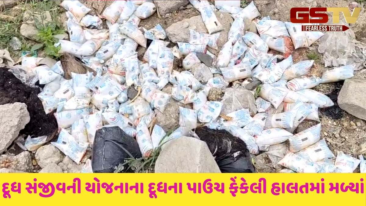 Godhra news: આંગળિયા ગામ પાસે કોઝ-વેમાં દૂધ સંજીવની યોજનાના દૂધના પાઉચ ફેંકેલી હાલતમાં મળ્યાં