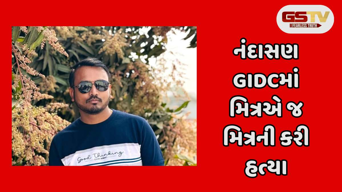 Mehsana news: નંદાસણ નજીક GIDCમાં મિત્રએ જ મિત્રની કરપીણ હત્યા કરી