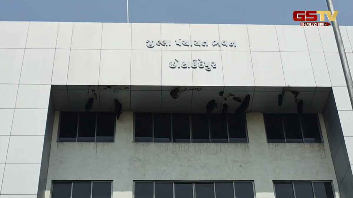 Chhotaudepuer News: જિલ્લા પંચાયતની કચેરીએ ઠેરઠેર જોમખી મધપૂડા, માખીઓથી દુર્ઘટના સર્જાવાની વકી