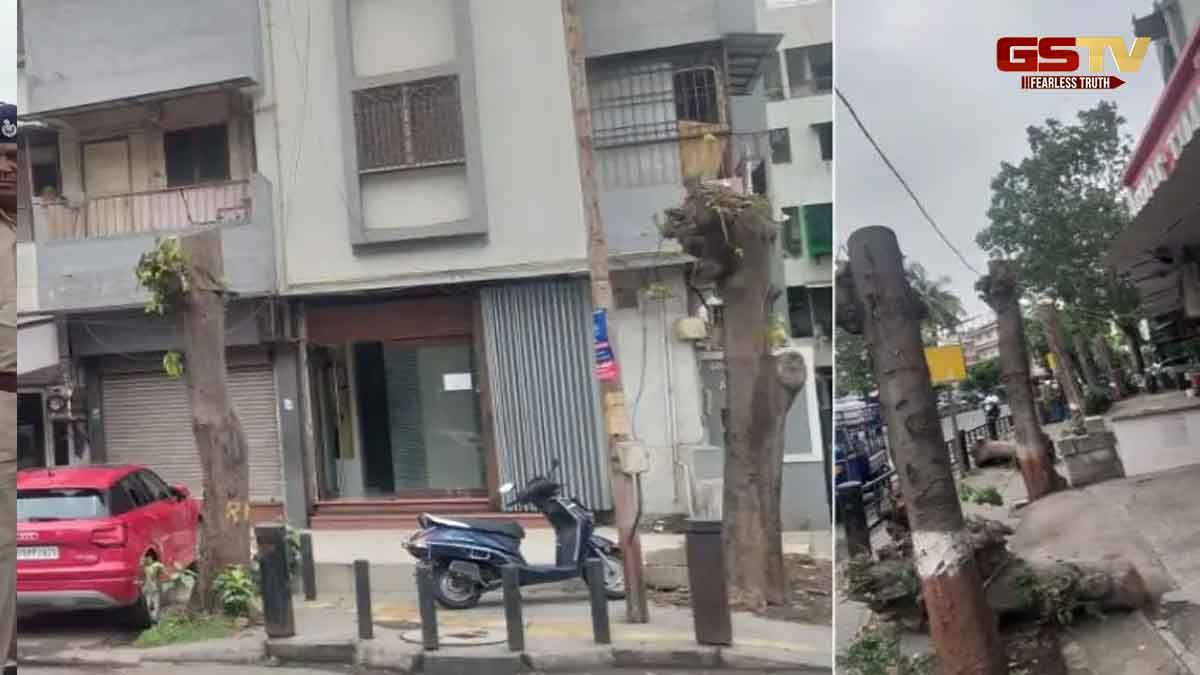 Surat News: પાલિકાની ઘોર બેદરકારી, ટ્રેમિંગના નામે વૃક્ષોનું આડેધડ કરાયું છેદન