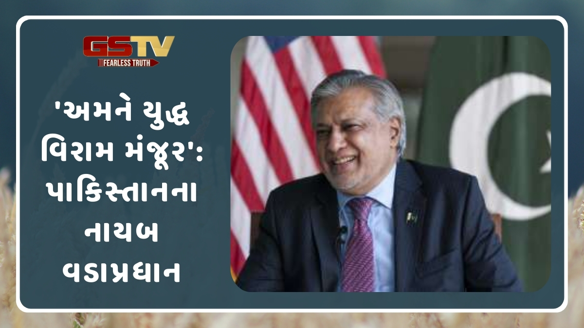 'અમને યુદ્ધ વિરામ મંજૂર', પાકિસ્તાનના નાયબ વડાપ્રધાને પણ કરી જાહેરાત