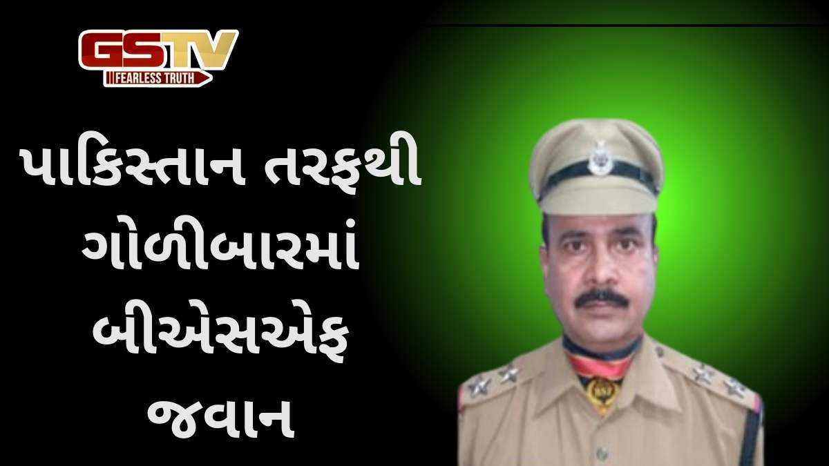 Ceasefire violation: જમ્મુ-કાશ્મીરમાં પાકિસ્તાન તરફથી ગોળીબારમાં BSF જવાન શહીદ, 7 ઈજાગ્રસ્ત