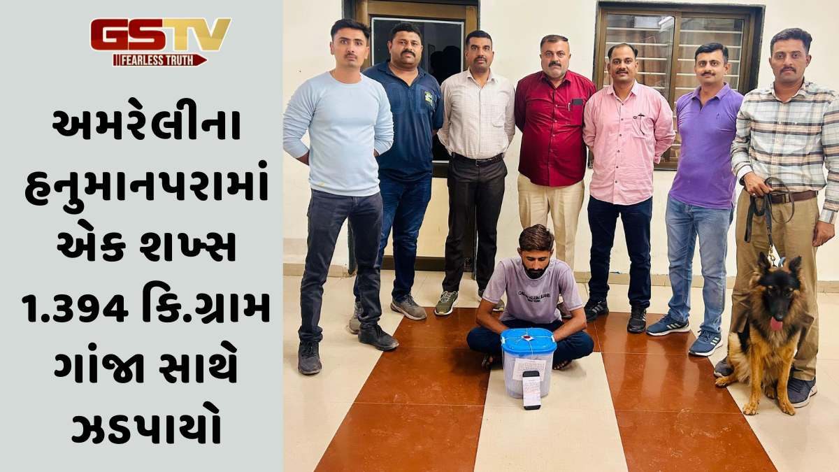 Amreli news: અમરેલીના હનુમાનપરામાં એક શખ્સ 1.394 કિ.ગ્રામ ગાંજા સાથે ઝડપાયો