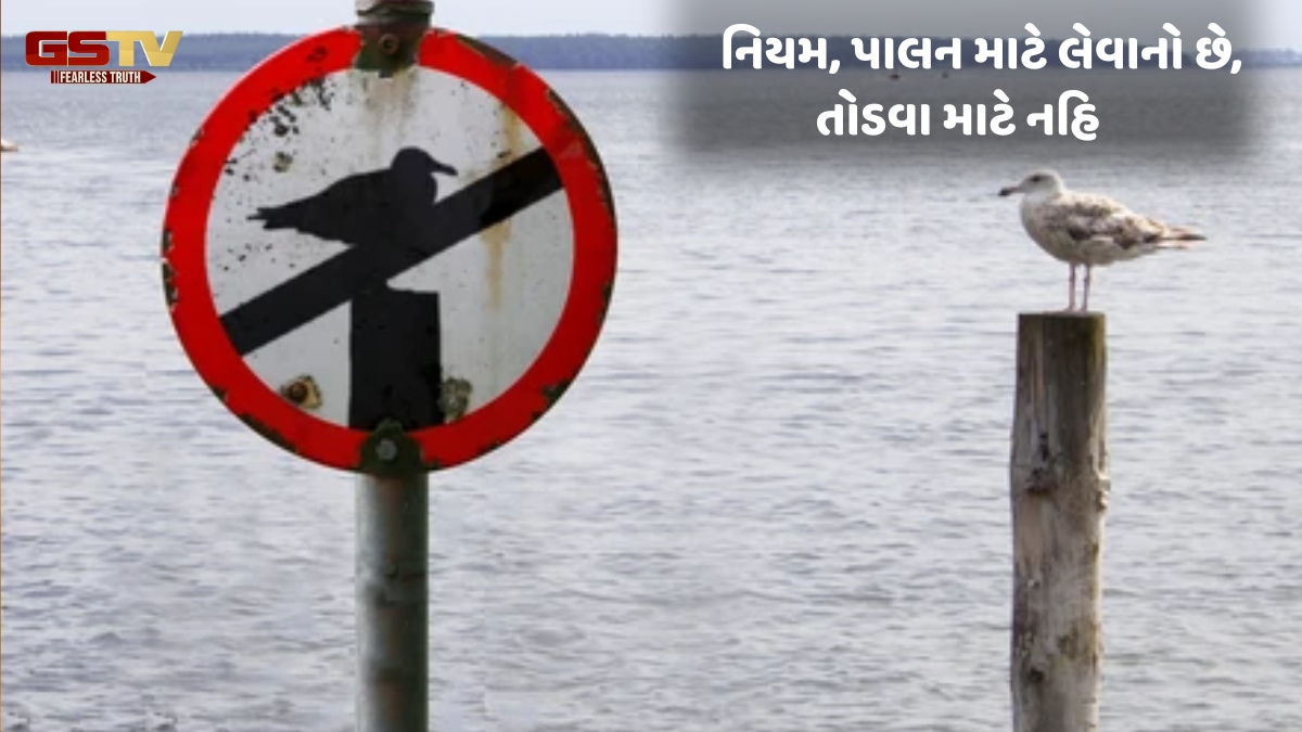 Dharmlok: જિંદગી ભરનો જે નિયમ લીધો, રોજની તે આવક બની ગઈ