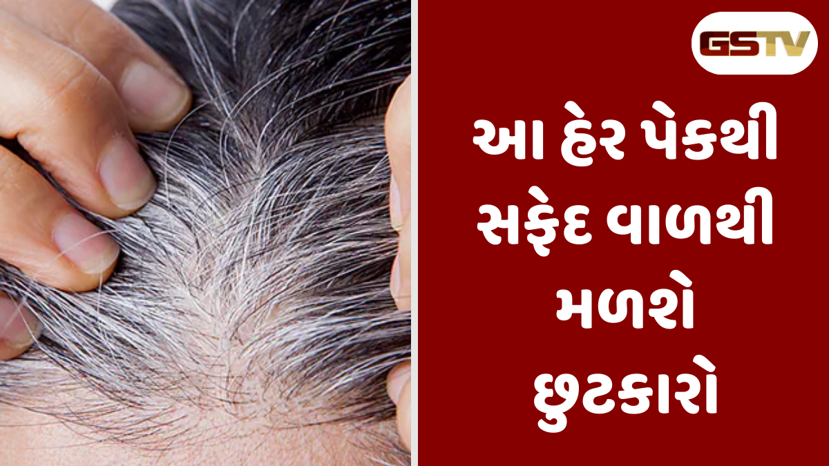 Hair Care Tips : વાળ સમય પહેલા સફેદ થવા લાગ્યા છે, આ સમસ્યાથી છુટકારો મેળવવા કરો આ વસ્તુઓનો ઉપયોગ 