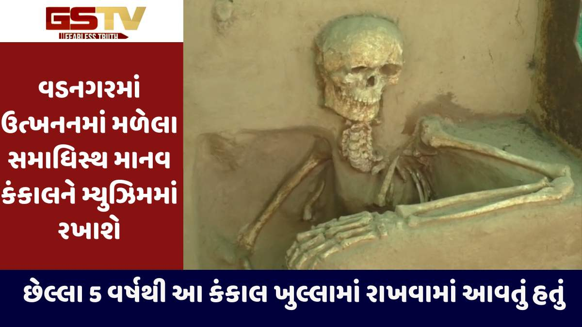 Mehsana news: વડનગરમાં ઉત્ખનન બાદ મળેલા માનવ કંકાલને મ્યુઝિયમમાં મૂકાયું, તેની પર સંશોધન થશે