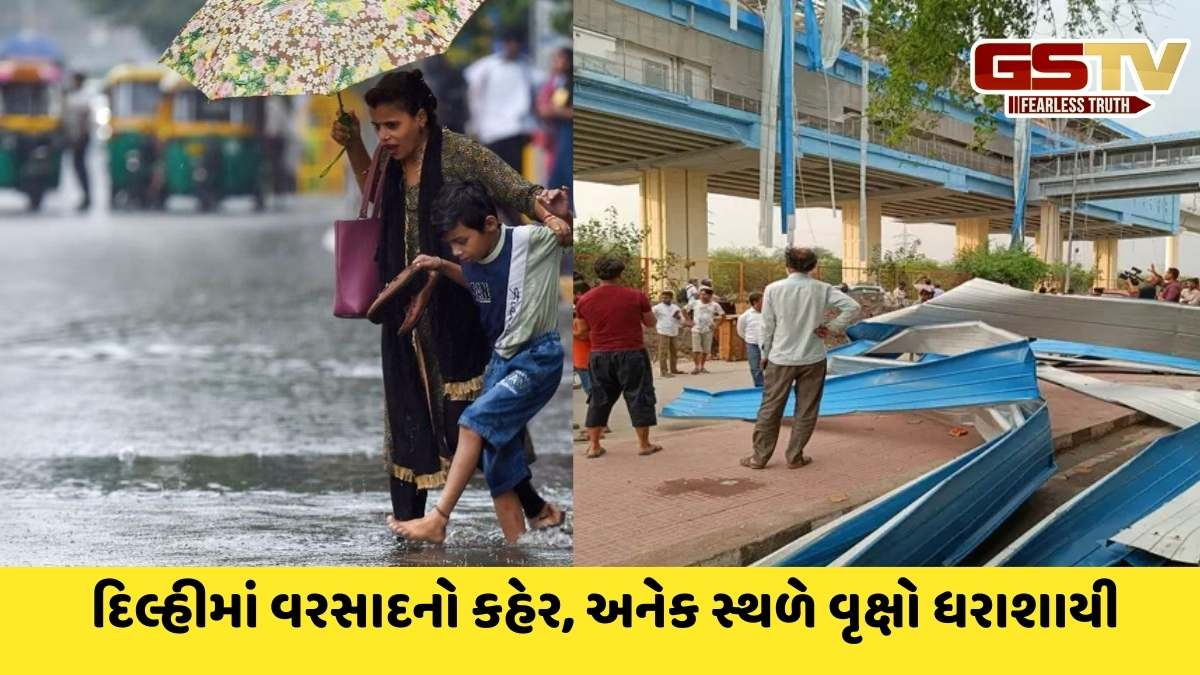 Delhi Rain: દિલ્હીમાં ભારે પવન સાથે વરસાદ, દીવાલ ધરાશાયી થતા 3નાં મોત, રસ્તાઓ પર ટ્રાફિક જામ