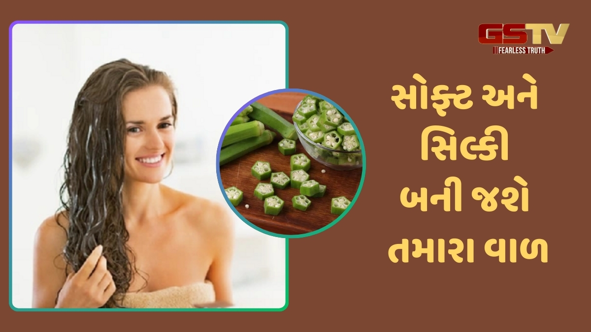 Hair Care Tips / શું તમે ડ્રાય અને ફ્રિઝી વાળથી પરેશાન છો? તો આ રીતે કરો ભીંડાના હેર માસ્કનો ઉપયોગ
