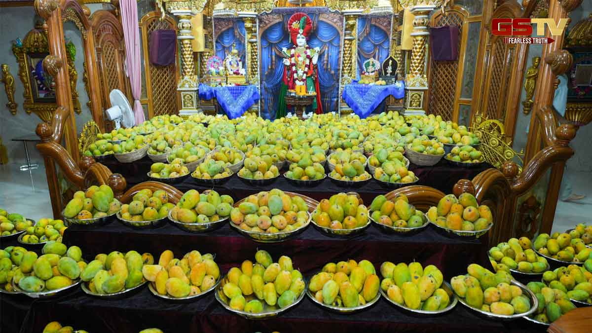 Surat News: સ્વામિનારાયણ ગુરુકુલમાં આમ્રફૂટ કરાયો, 800 કિલો પ્રસાદરૂપે કેરી 1200 લોકોને વિતરીત કરાઈ