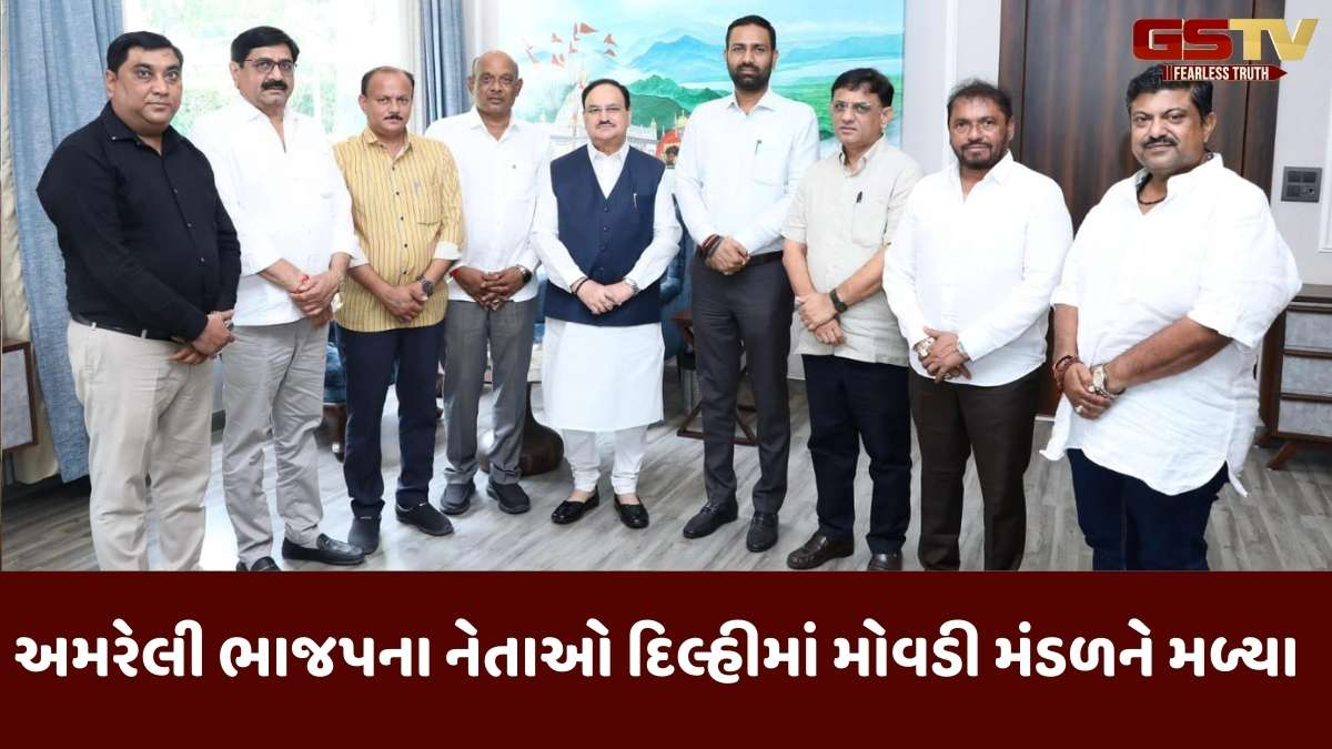 Ahmedabad news: સરકાર અને સંગઠનમાં ફેરબદલ વચ્ચે અમરેલી ભાજપના નેતાઓ પહોંચ્યા દિલ્હી 