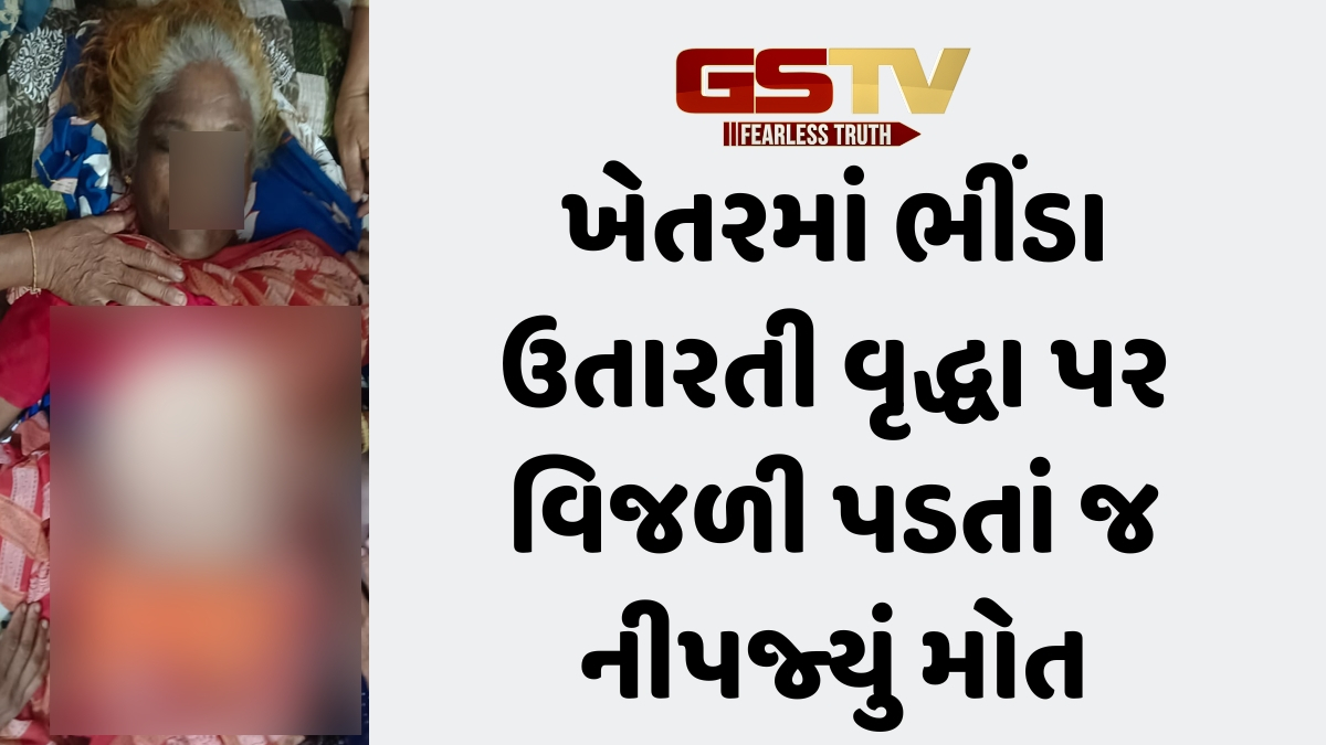 Surat News: ઓલપાડના સરસ ગામે વિજળી પડતાં વૃદ્ધાનું મોત, ખેતરમાં ગયા હતા ભીંડો ઉતારવા