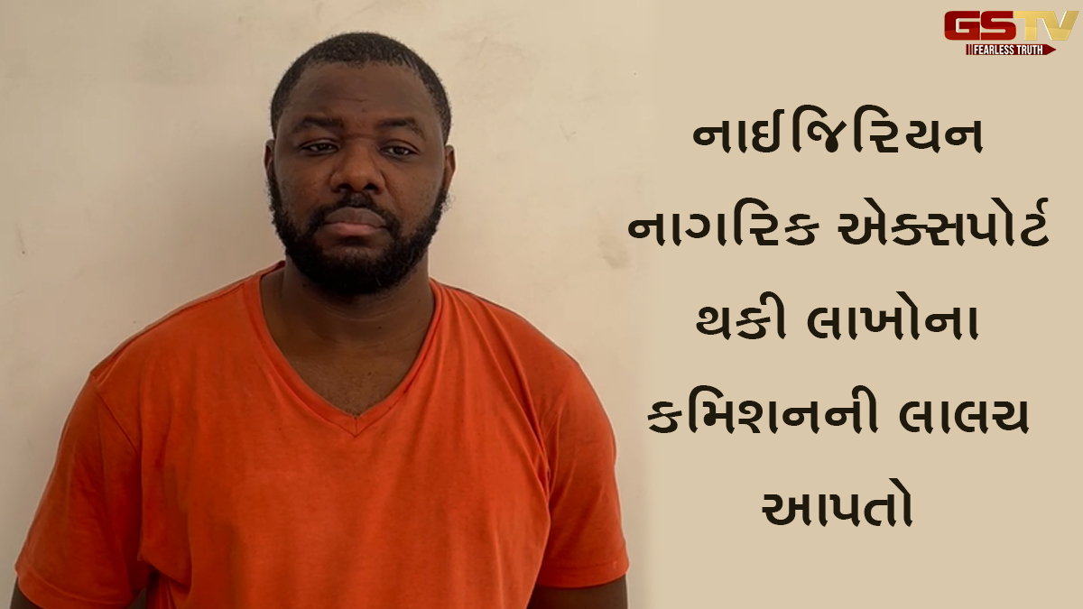 Rajkotમાં બિયારણ એક્સપોર્ટ કરવાના નામે 32 લાખની છેતરપિંડી કરનાર વિદેશી નાગરિક દિલ્હીથી ઝડપાયો