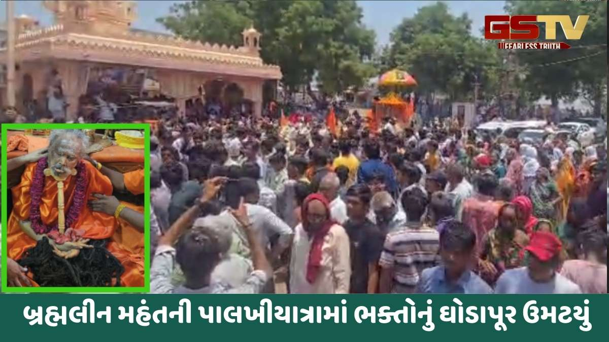 Morbi news: ચરાડવા મહાકાળી આશ્રમના મંહત 133 વર્ષની વયે થયા બ્રહ્મલીન, પાલખીયાત્રા બાદ અપાશે સમાધિ