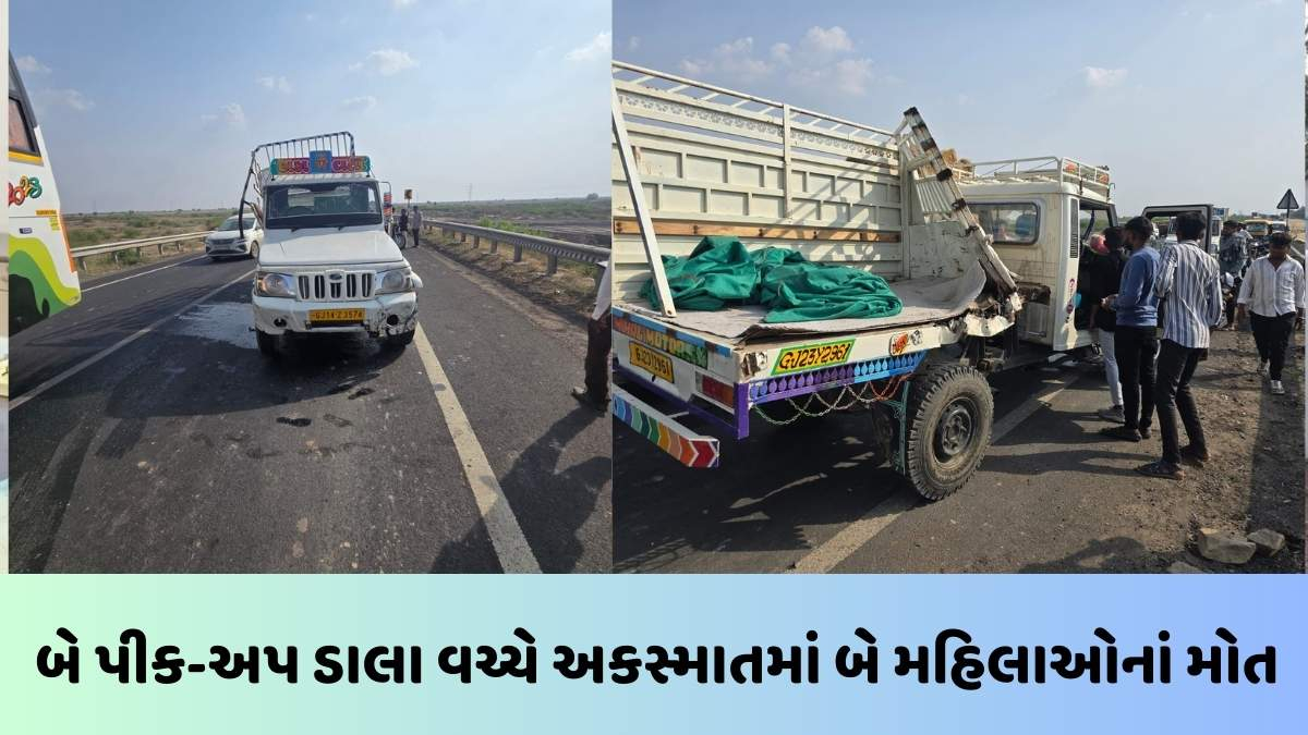 Ahmedabad news: વટામણ-પીપળી હાઈવે પર બે પીક-અપ ડાલા વચ્ચે અકસ્માત, બેનાં મોત, 2 ઈજાગ્રસ્ત