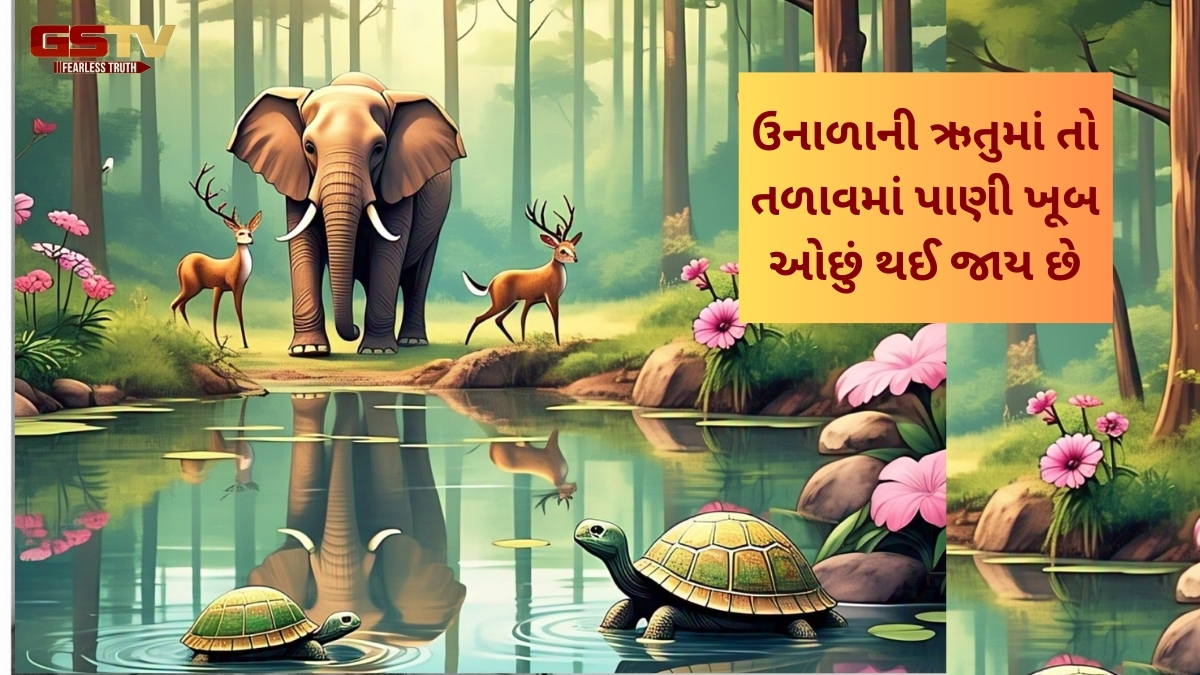 Zagmag: કાચબાભાઈને કહ્યું, 'આપણે આ તળાવને ઊંડું કરીએ તો?