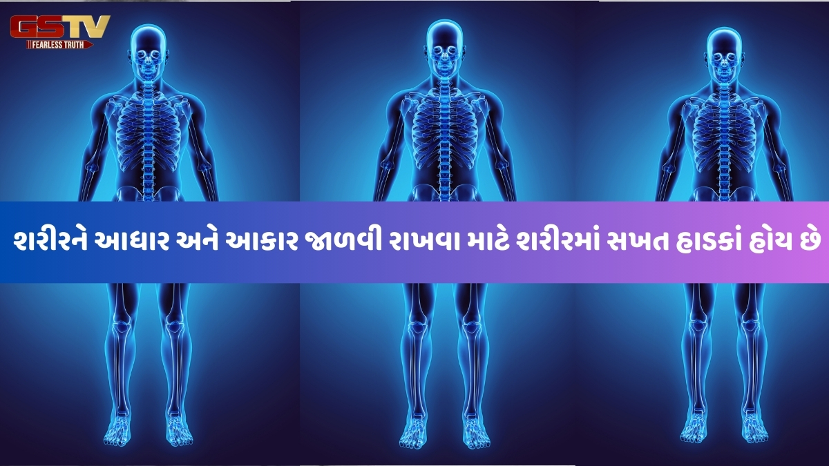 Zagmag: આપણા શરીરનો આધાર અસ્થિપિંજર