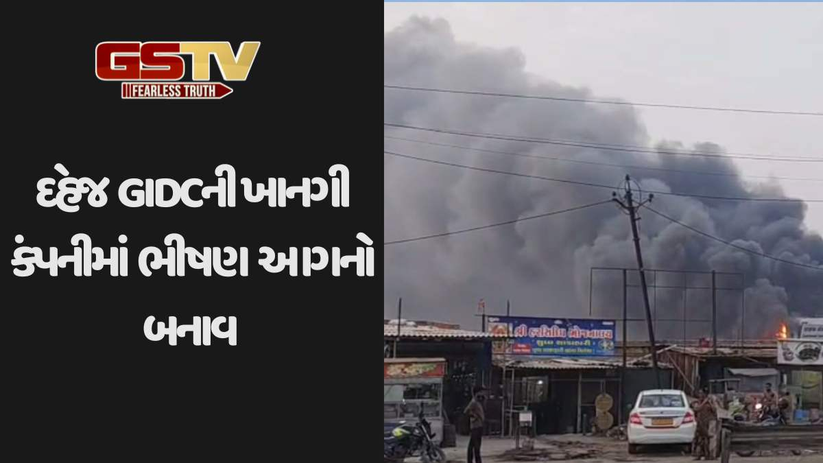 Bharuch news: દહેજ GIDCમાં આવેલી ખાનગી કંપનીમાં ભીષણ આગ