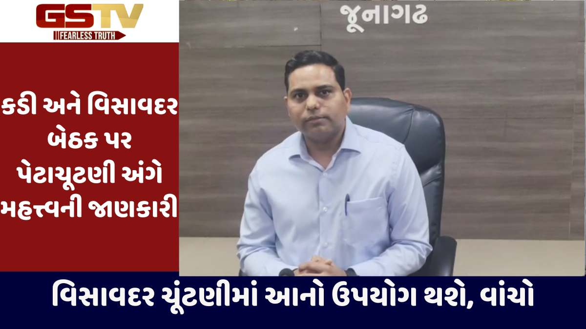 Visavadar by Election 2025:  વિસાવદર પેટાચૂંટણી અંગે કલેકટરનું નિવેદન, વાંચો