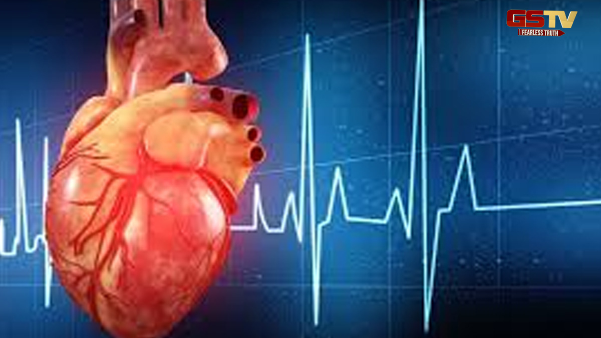 Health Tips : આ 6 વસ્તુઓ હૃદય માટે અમૃત સમાન, રહેશો સદાય નિરોગી