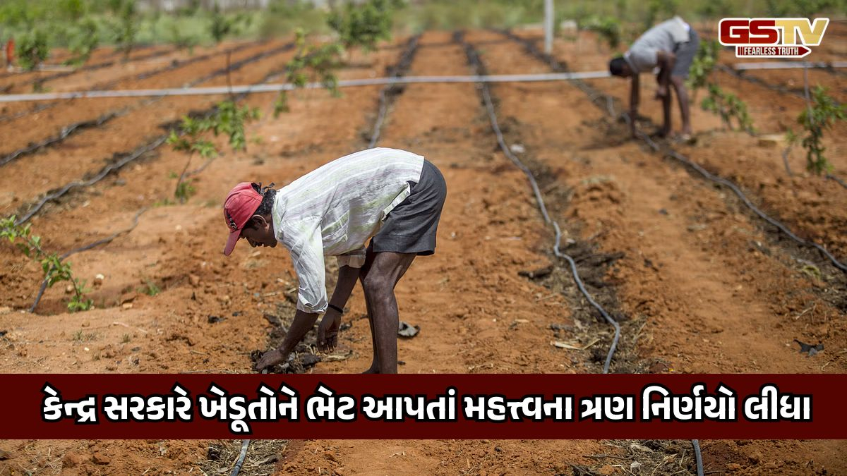 કેન્દ્ર સરકારે ખેડૂતોને આપી મોટી ભેટ, KCC લોનના વ્યાજદર પર મળશે સબસિડી