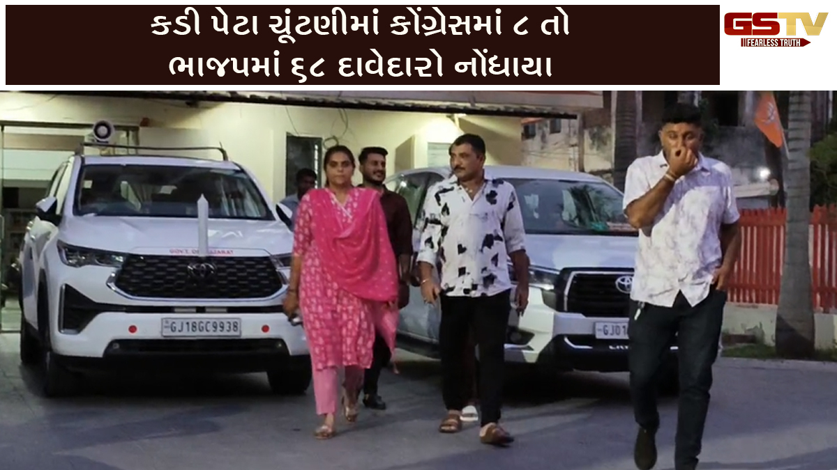 Mehsana ચૂંટણીમાં ભાજપની સેન્સ પ્રક્રિયા પૂર્ણ, લોક ગાયિકા કાજલ મહેરિયા સહિત 68 લોકોએ દાવેદારી નોંધાવી