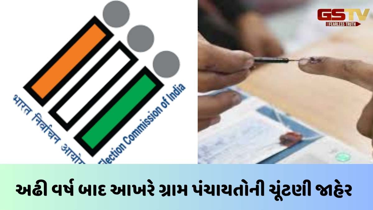 Gram Panchayat Election: પાટણ જિલ્લામાં 380 ગ્રામ પંચાયતની ચૂંટણી યોજાશે, જાણો વિગત