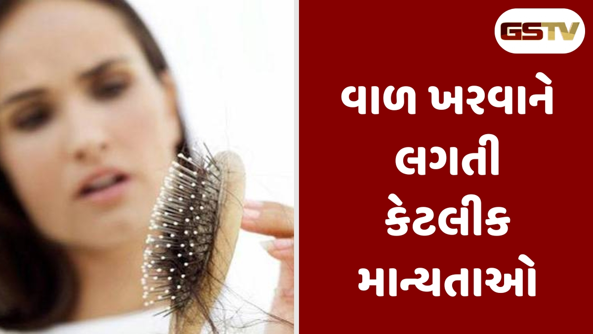 Hair Care Tips : ઉનાળામાં વાળ કેમ ખરવા લાગે છે? આ માન્યતાઓ પર વિશ્વાસ ન કરો