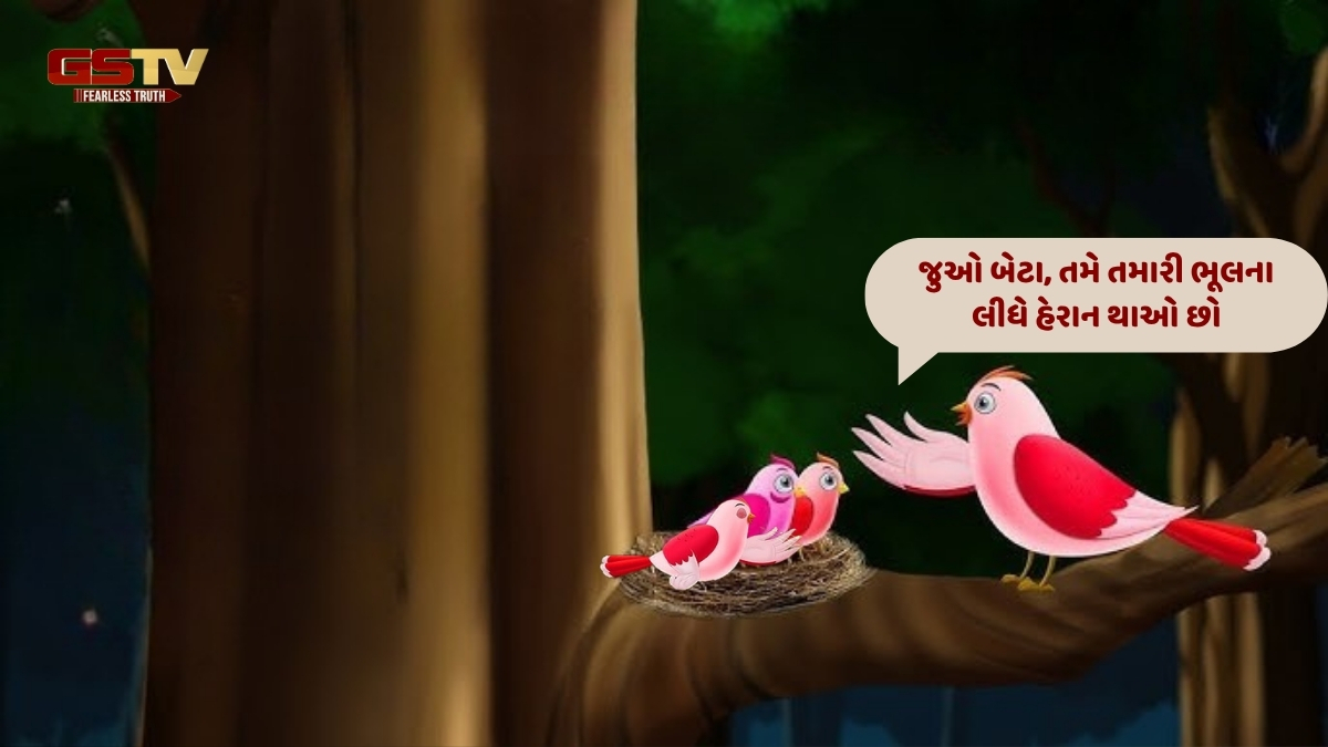 Zagmag : આળસ ખંખેરી 