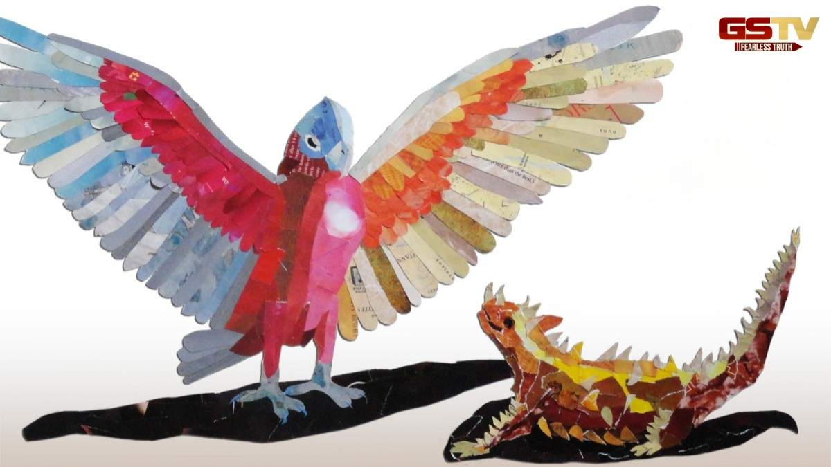 Zagmag : The Galah and Oolah the Lizard
